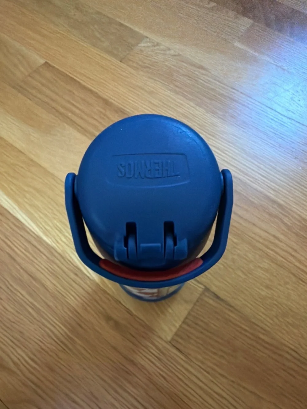 Thermos Mario kart water bottle